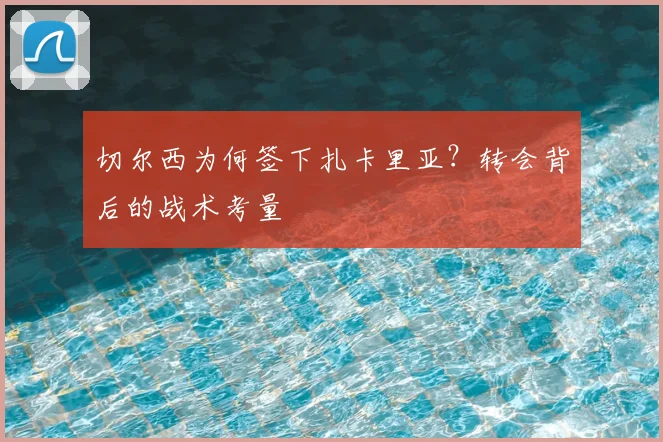 切尔西为何签下扎卡里亚？转会背后的战术考量